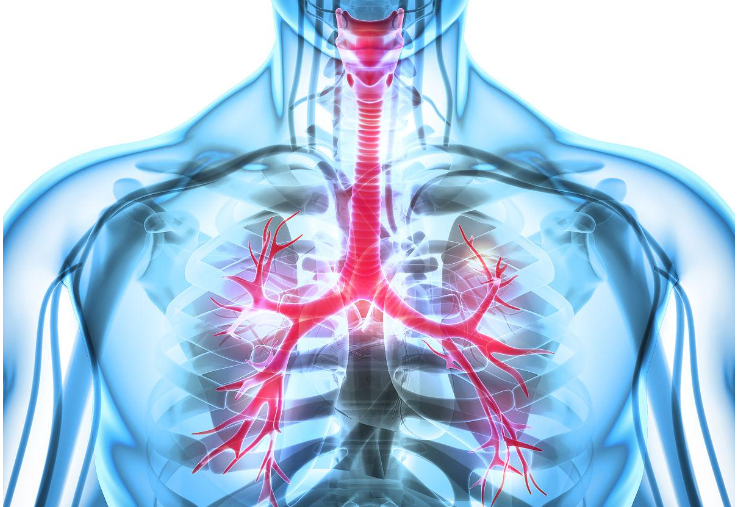 麻醉科最不起眼的螺紋管，都隱藏著那些學(xué)問？(圖2)